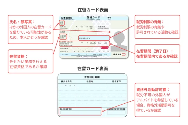 在留カードの見方の画像
