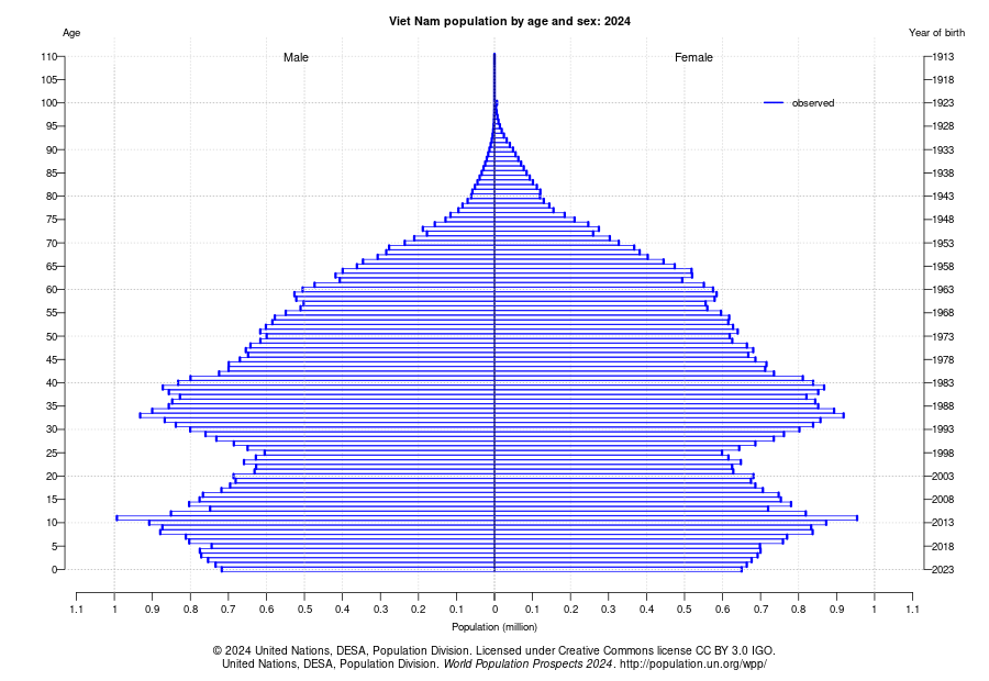 国際連合（UN）「World Population Prospects 2024 Viet Nam」のイメージ
