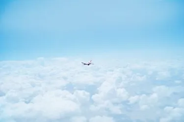 特定技能「航空」とは？制度の概要や外国人雇用時の注意点を企業へ向け解説