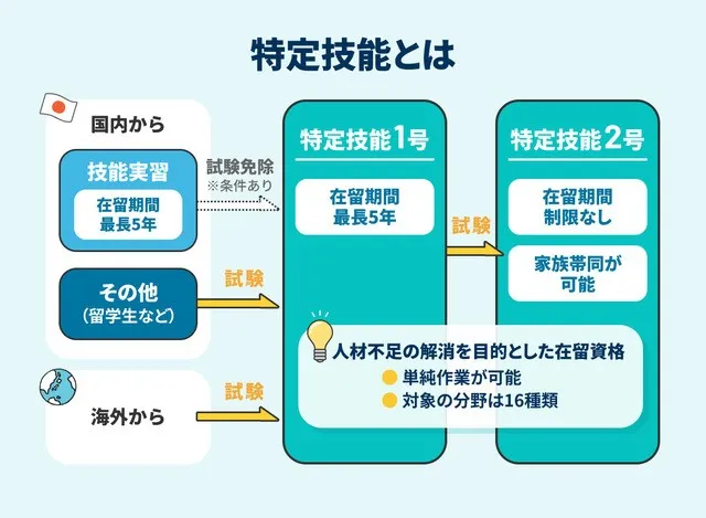 特定技能の画像