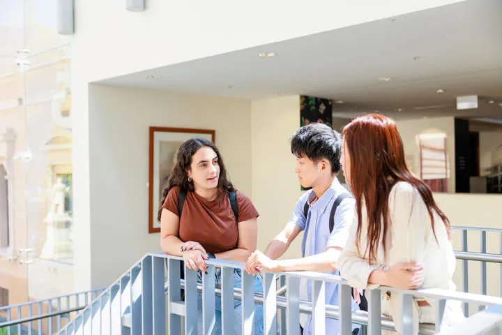 大学の一角で会話する男女の画像