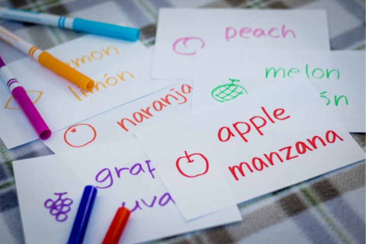 英語とスペイン語で書かれた単語の紙の画像