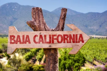 メキシコのバハ・カリフォルニア州はどんなところ？主要都市や治安を解説