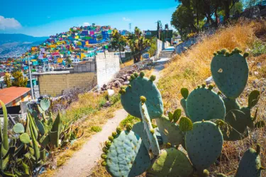 メキシコ・イダルゴ州はどんなところ？主要都市や観光スポット、治安を解説